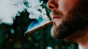 Exploring Toronto’s Hidden Green Spaces for a Relaxing Summer Escape with Your Favorite Strains